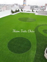 Thảm cỏ nhân tạo trải sân vườn 3cm chất lượng cao