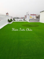 Thảm cỏ nhân tạo trải sân vườn 3cm chất lượng cao