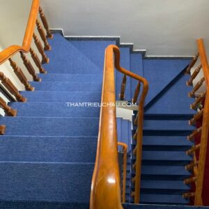 thảm lót cầu thang hcm (14)